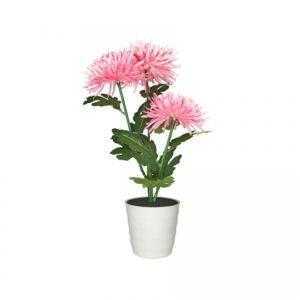 cc10 300x300 - Декоративные цветы на светодиодах Хризантема 3 розовая